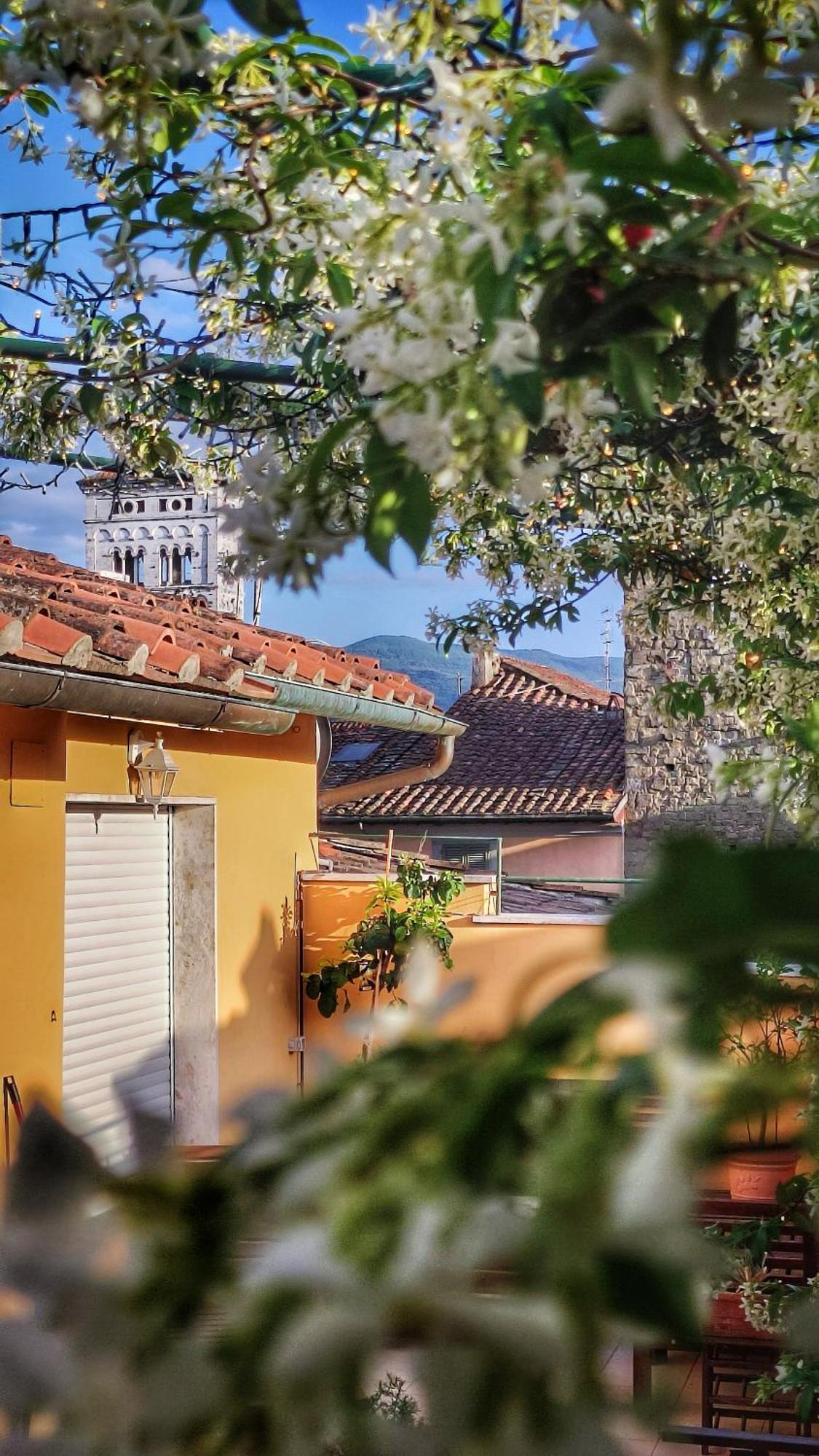 Villa De Maestri Lucca Exterior foto